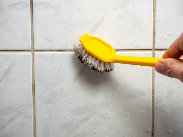 Reliable Darlington, WI Mold Remediation Solutions